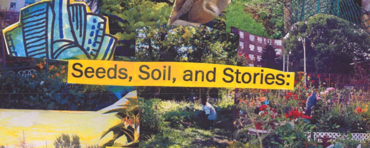 Seeds, Soils and Stories