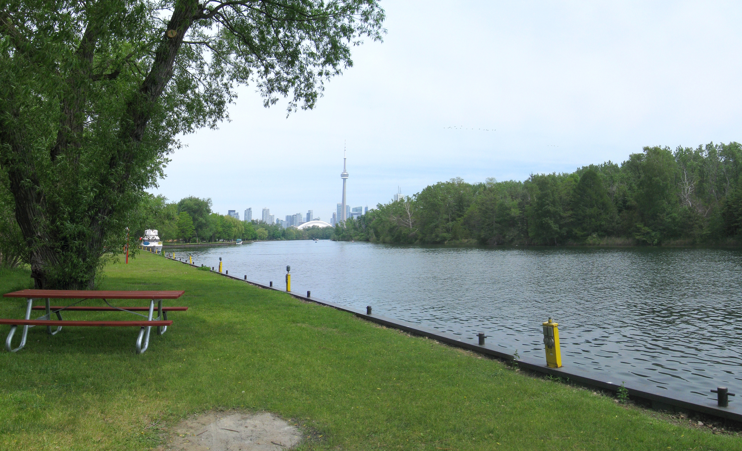 Green space in Toronto by the river