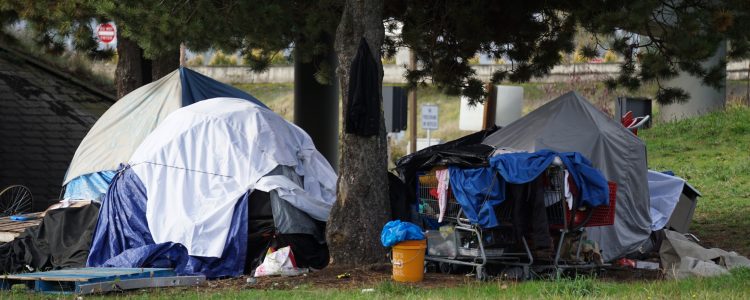 Homeless tent camp in the park
