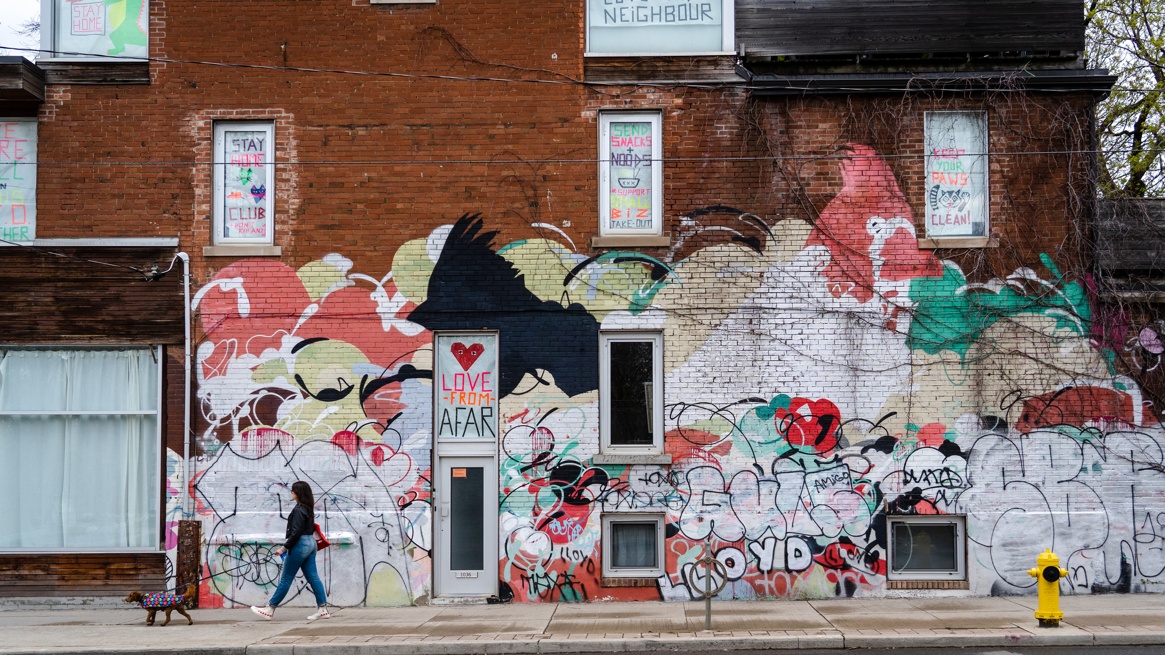 Local Woman Walking Her Dog in Front of Colourful Brick Wall in Toronto, Ontario