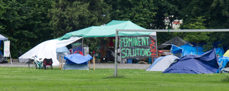 Tents in a park with a sign that says "Permanent solutions"
